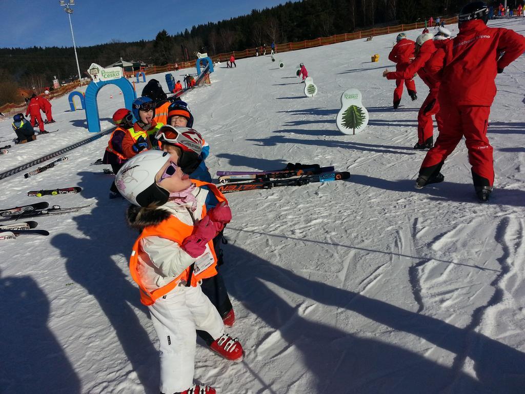 Mysi V Bote Lipno Leilighet Lipno nad Vltavou Eksteriør bilde